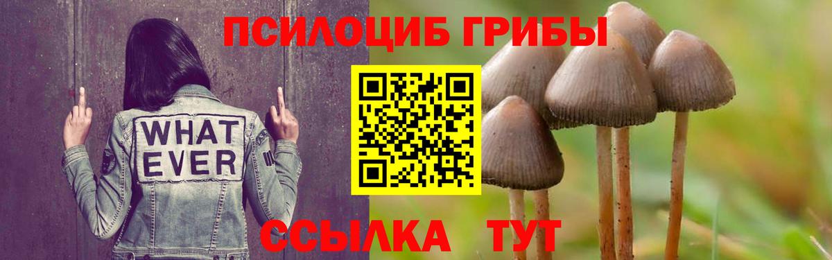 Галлюциногенные грибы Cubensis  Вход с VPN  Белореченск  Галлюциногенные грибы мухоморы 
